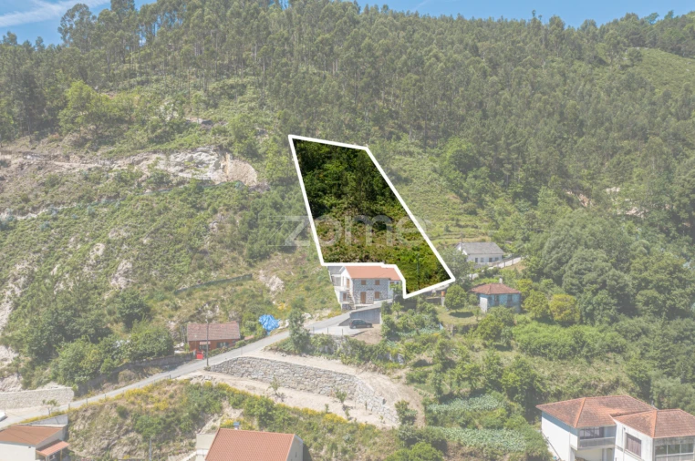 Terreno para Venda em Rio Caldo Foto 17