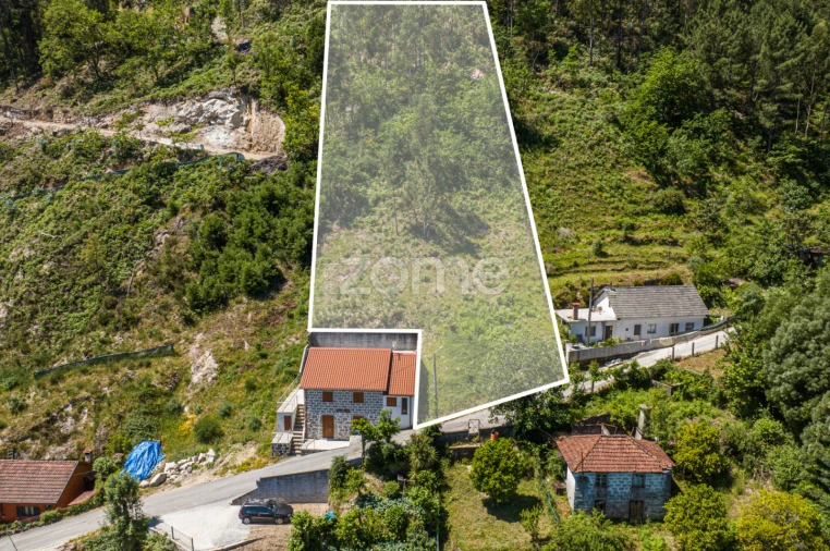 Terreno para Venda em Rio Caldo Foto 10