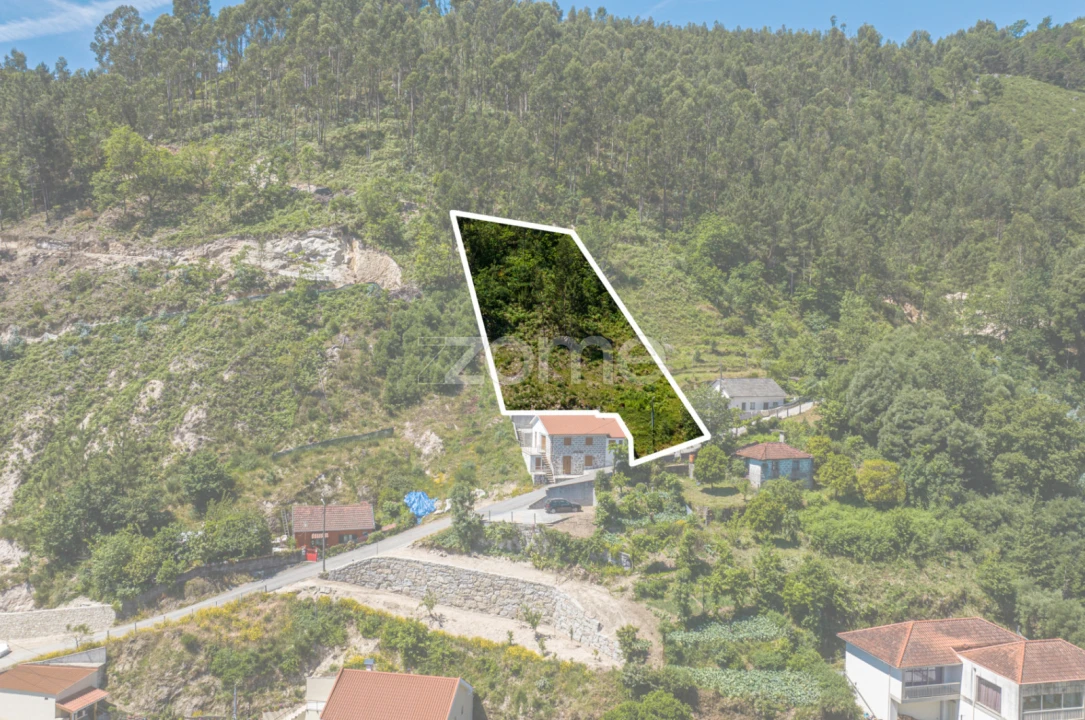 Terreno para Venda em Rio Caldo Foto 17