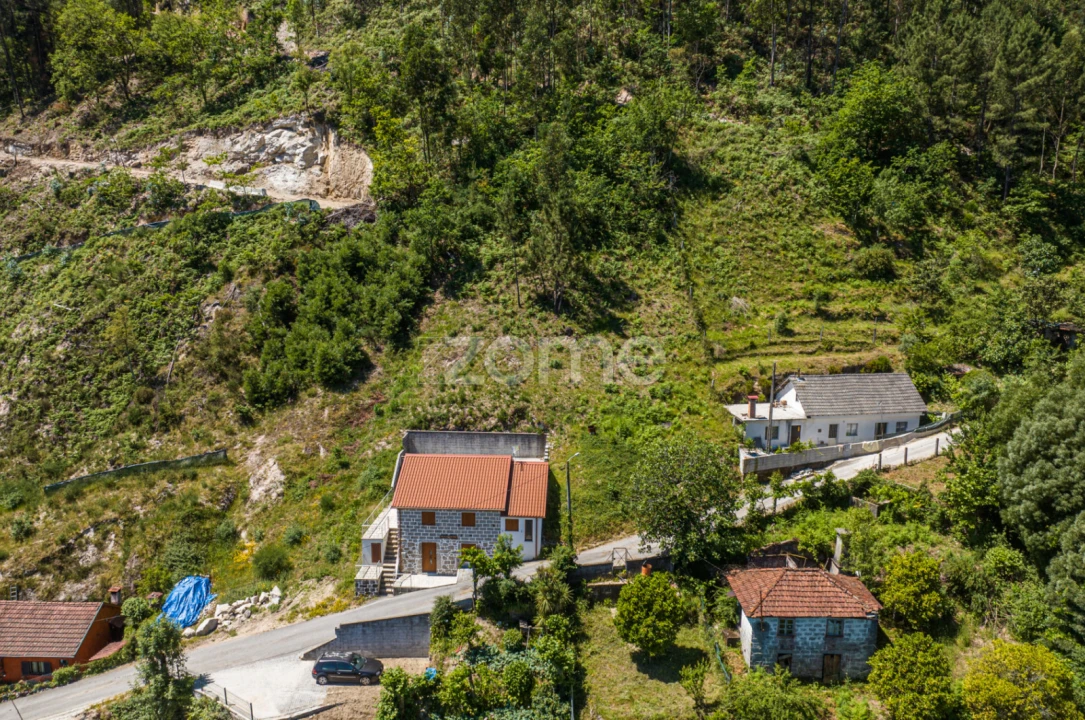 Terreno para Venda em Rio Caldo Foto 8