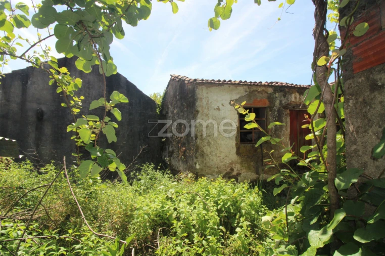 Moradia T2 para Venda em Castanheira de Pêra e Coentral Foto 16