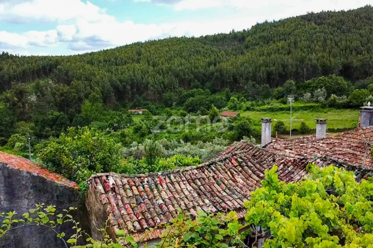 Moradia T2 para Venda em Castanheira de Pêra e Coentral Foto 5
