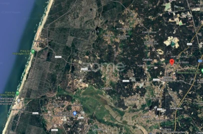 Terreno para Venda em Monte Redondo e Carreira