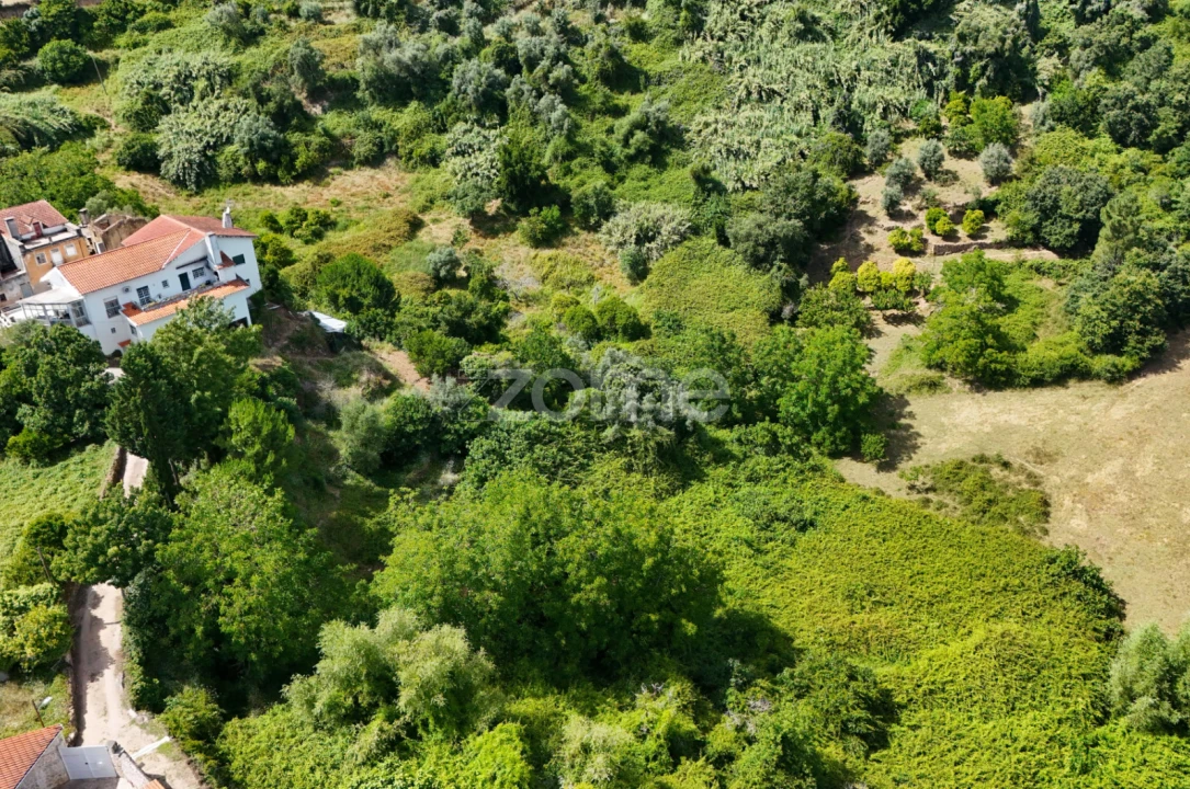 Terreno para Venda em Almalagues Foto 1