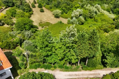 Terreno para Venda em Almalagues