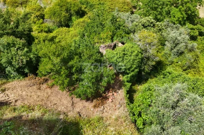 Terreno para Venda em Almalagues