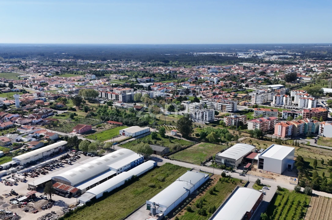 Terreno para Venda em Cantanhede e Pocariça Foto 8