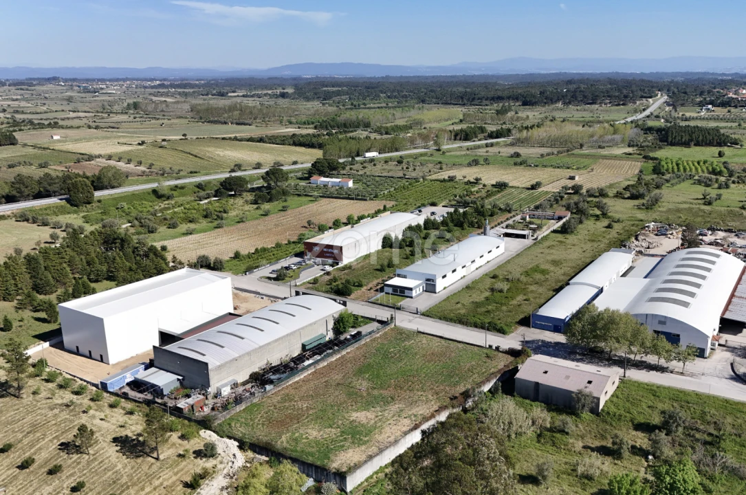 Terreno para Venda em Cantanhede e Pocariça Foto 3