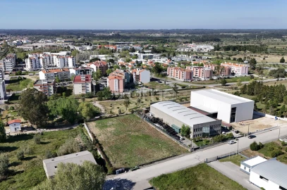 Terreno para Venda em Cantanhede e Pocariça