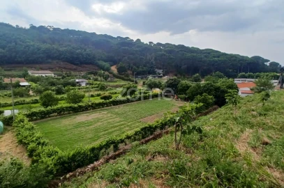 Terreno para Venda em Arganil