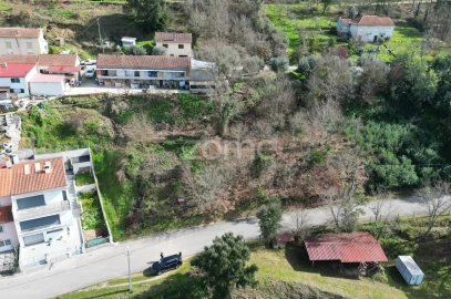 Terreno para Venda em Arganil
