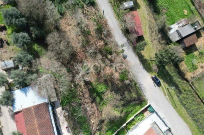 Terreno para Venda em Arganil