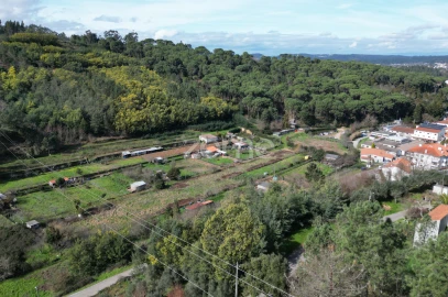 Terreno para Venda em Arganil