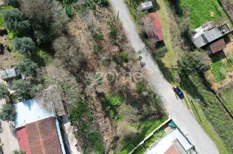 Terreno para Venda em Arganil Foto 11