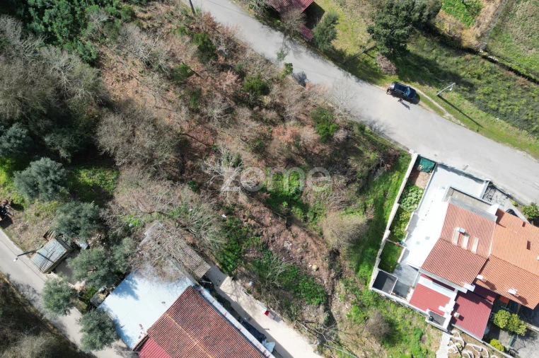 Terreno para Venda em Arganil Foto 13