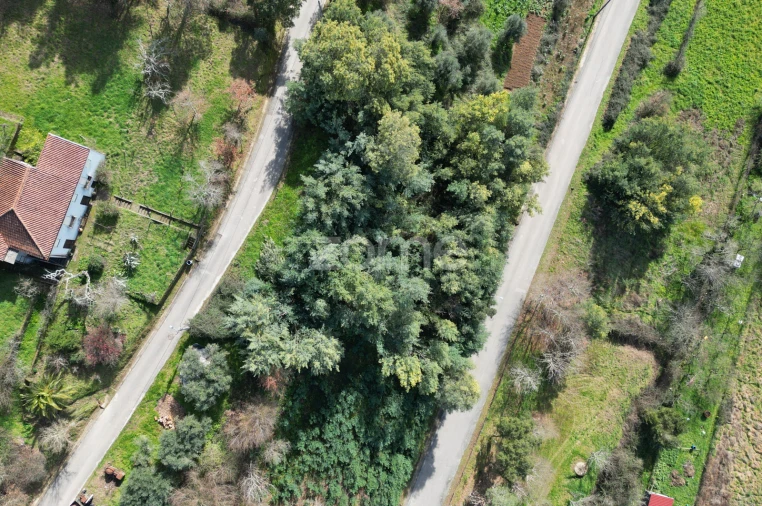 Terreno para Venda em Arganil Foto 15