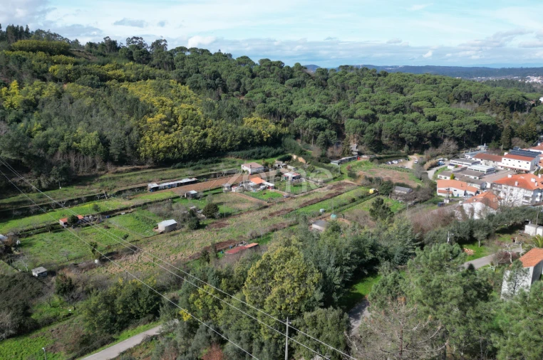 Terreno para Venda em Arganil Foto 18