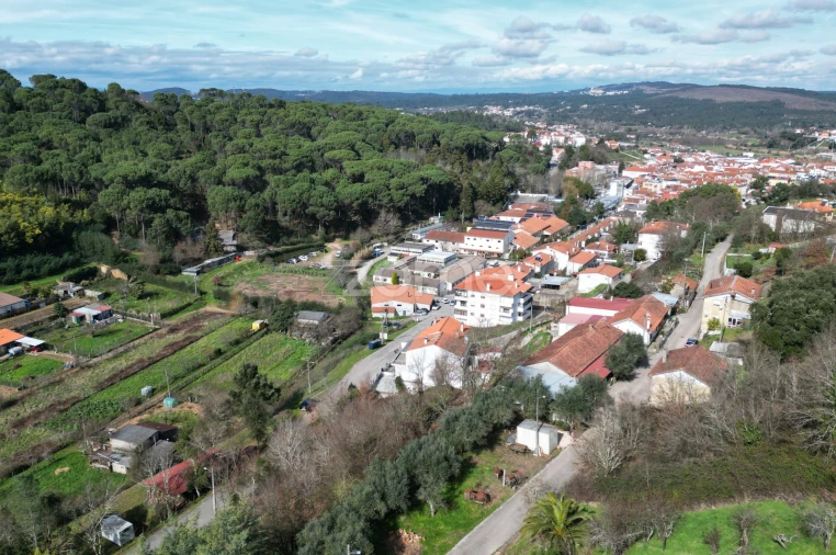 Terreno para Venda em Arganil Foto 19