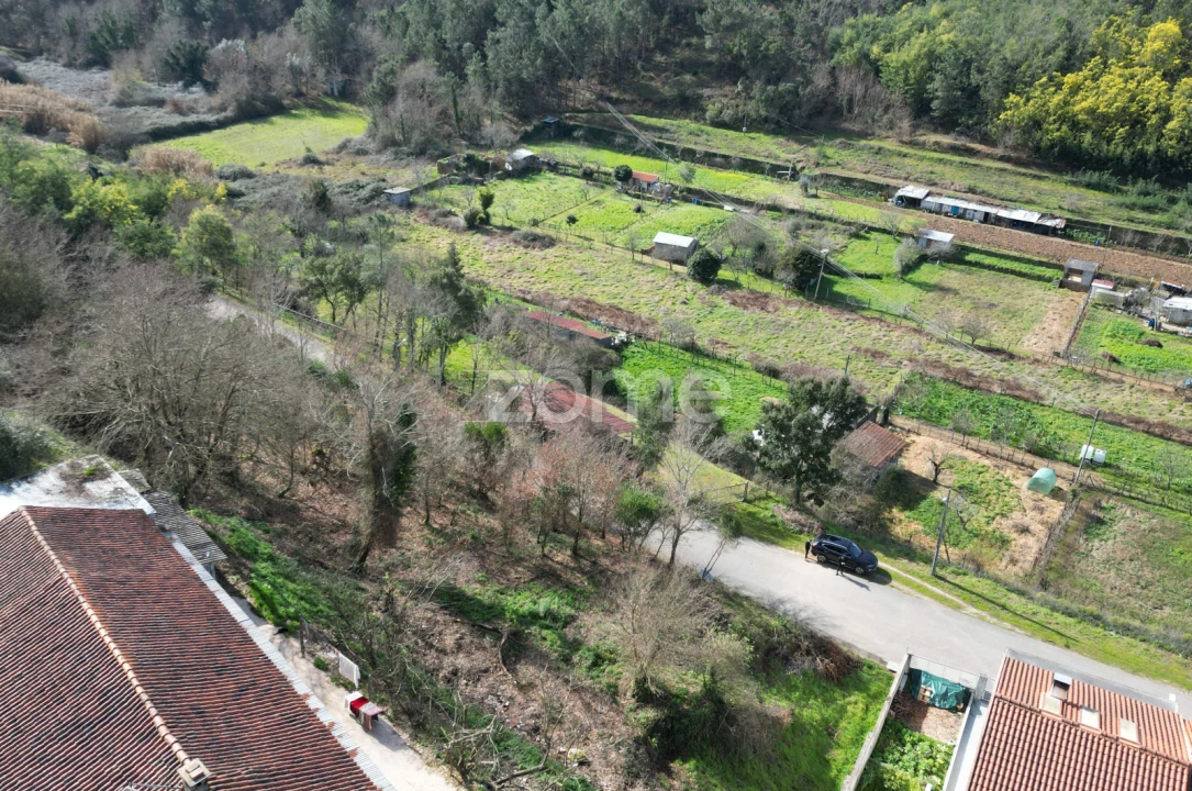 Terreno para Venda em Arganil Foto 10