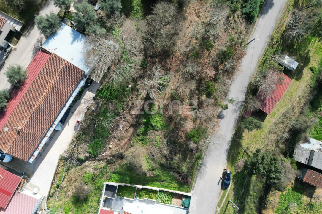 Terreno para Venda em Arganil Foto 12