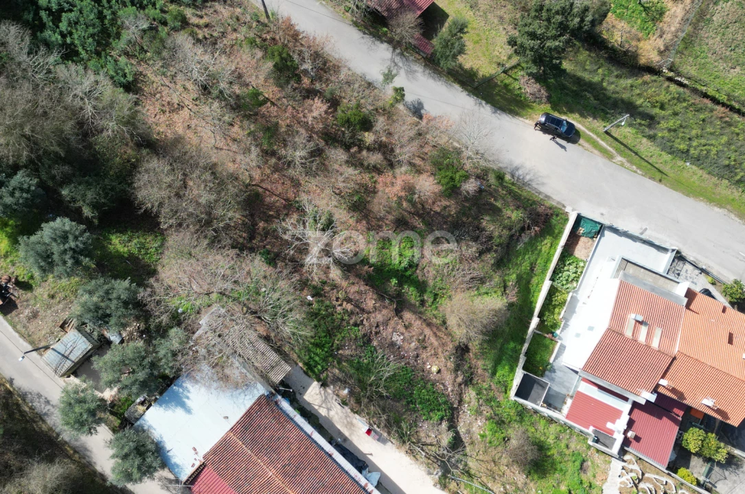 Terreno para Venda em Arganil Foto 13