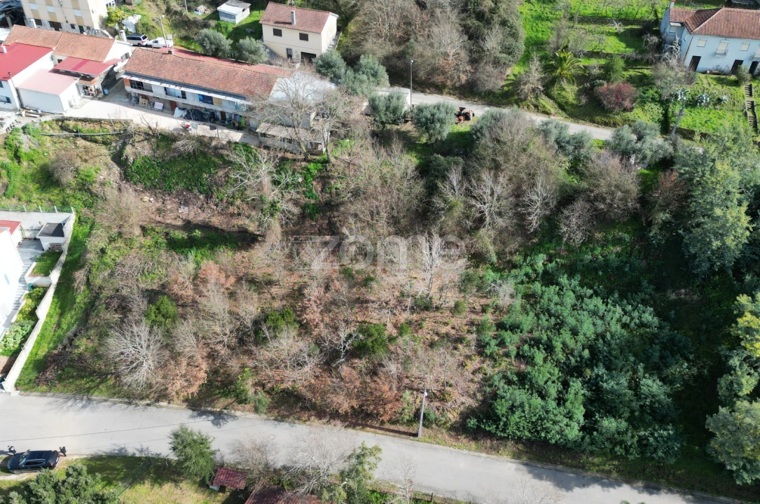 Terreno para Venda em Arganil Foto 16