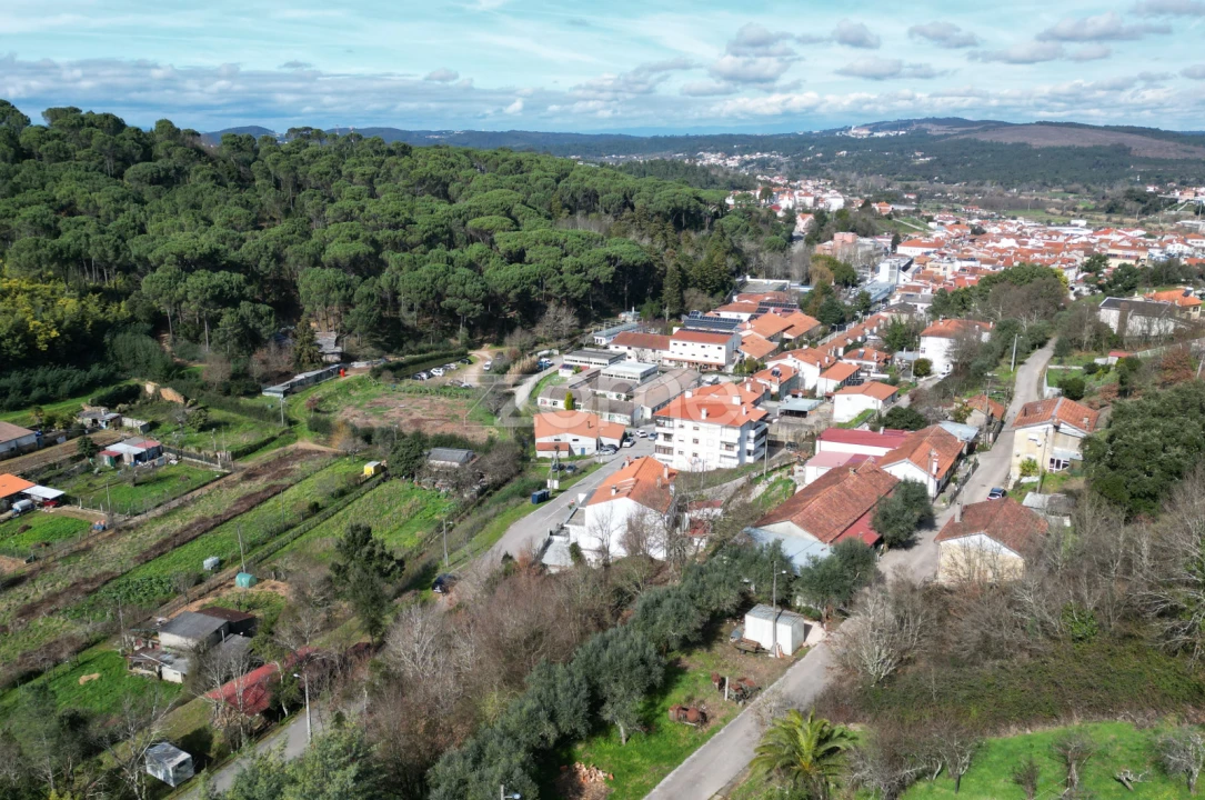 Terreno para Venda em Arganil Foto 19
