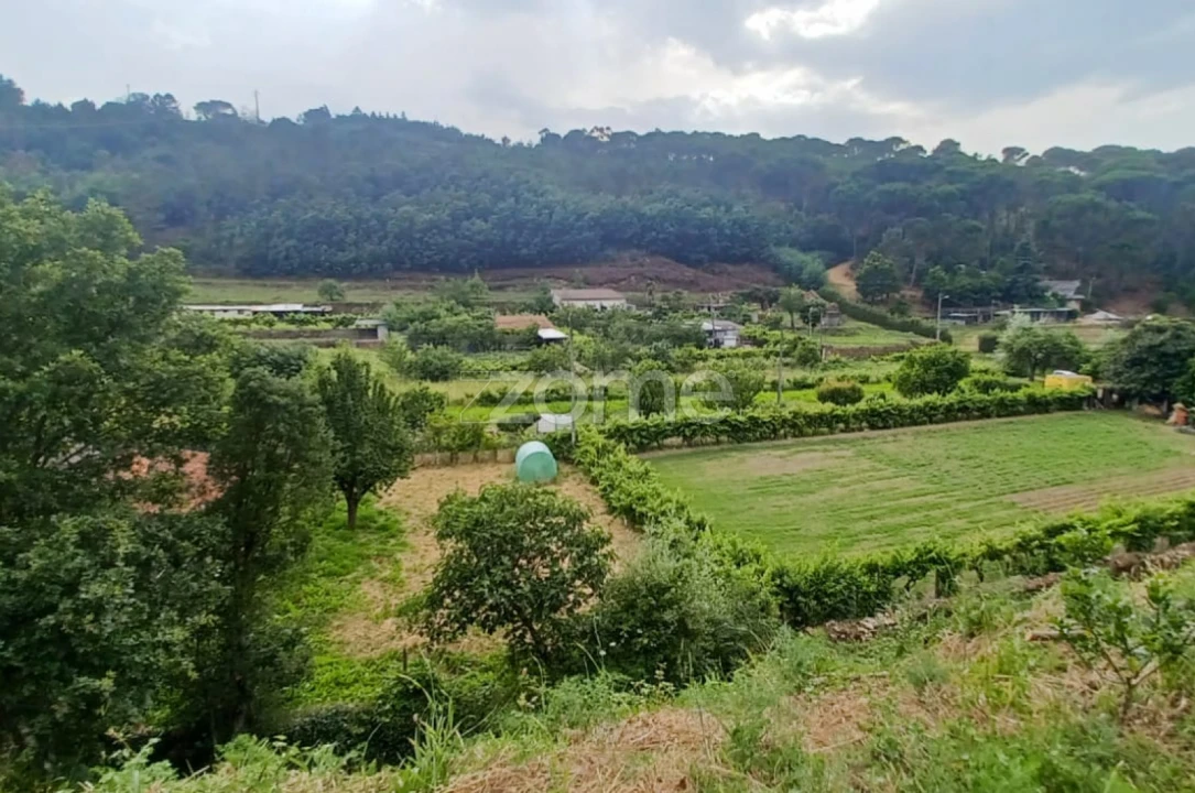 Terreno para Venda em Arganil Foto 5