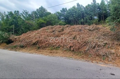 Terreno para Venda em Arganil