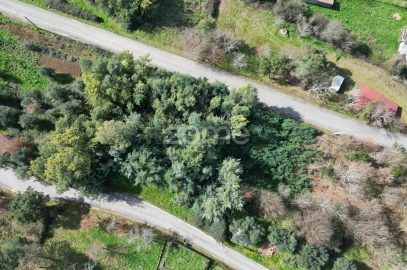 Terreno para Venda em Arganil