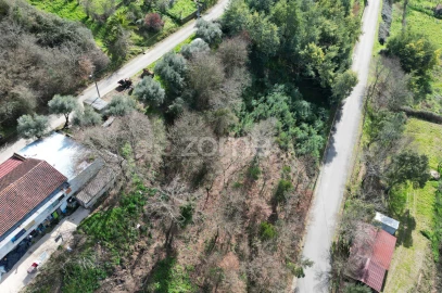Terreno para Venda em Arganil