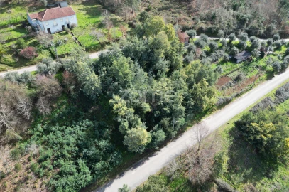 Terreno para Venda em Arganil