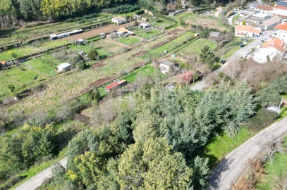 Terreno para Venda em Arganil
