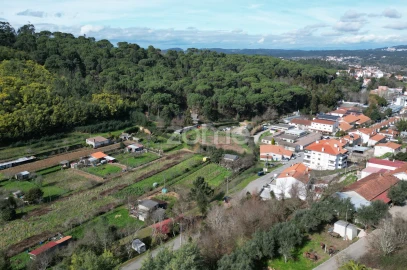 Terreno para Venda em Arganil