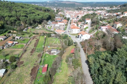 Terreno para Venda em Arganil
