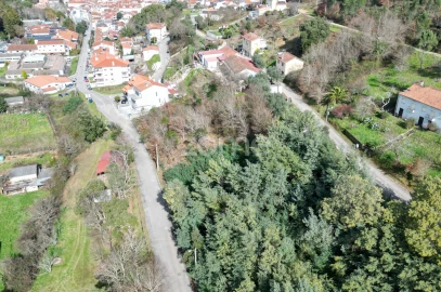 Terreno para Venda em Arganil