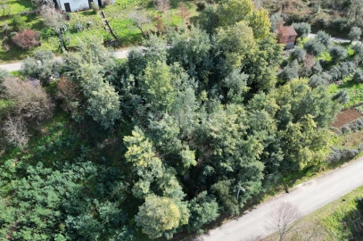Terreno para Venda em Arganil