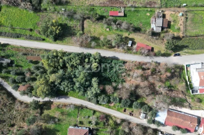 Terreno para Venda em Arganil