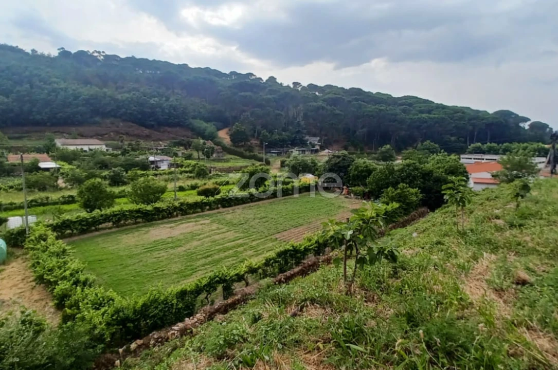 Terreno para Venda em Arganil Foto 2