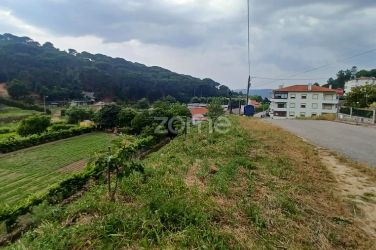 Terreno para Venda em Arganil Foto 4
