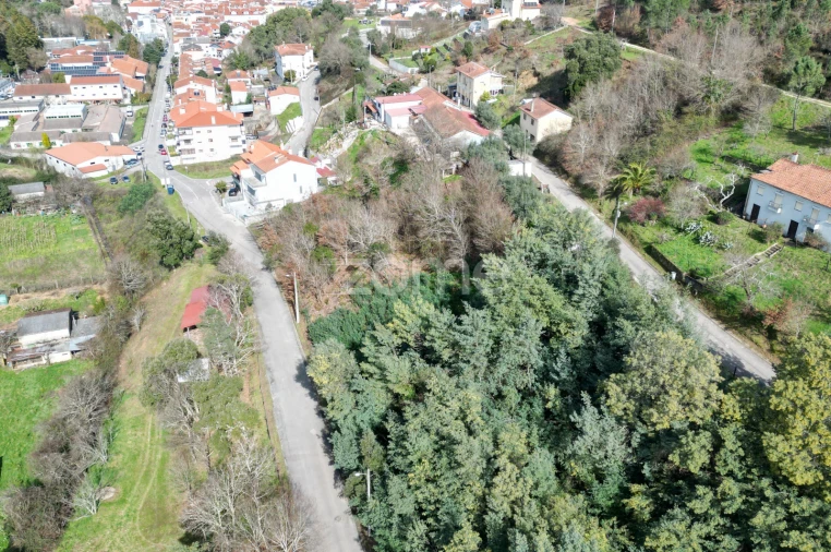Terreno para Venda em Arganil Foto 23