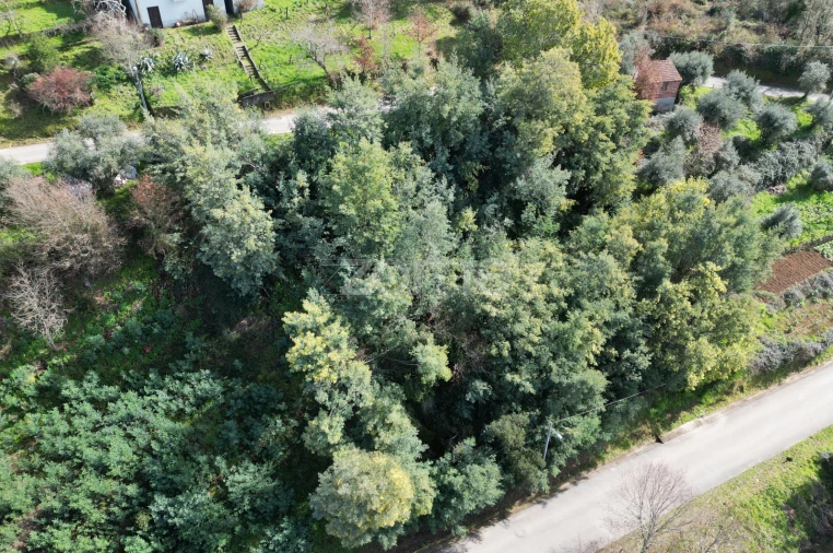 Terreno para Venda em Arganil Foto 24