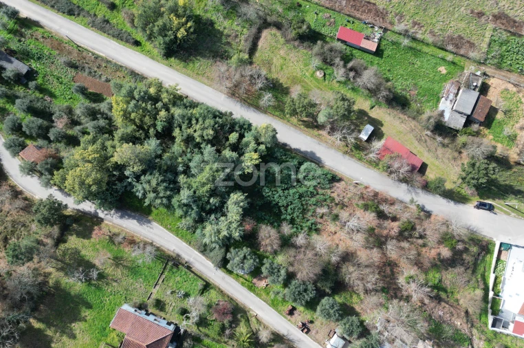 Terreno para Venda em Arganil Foto 25