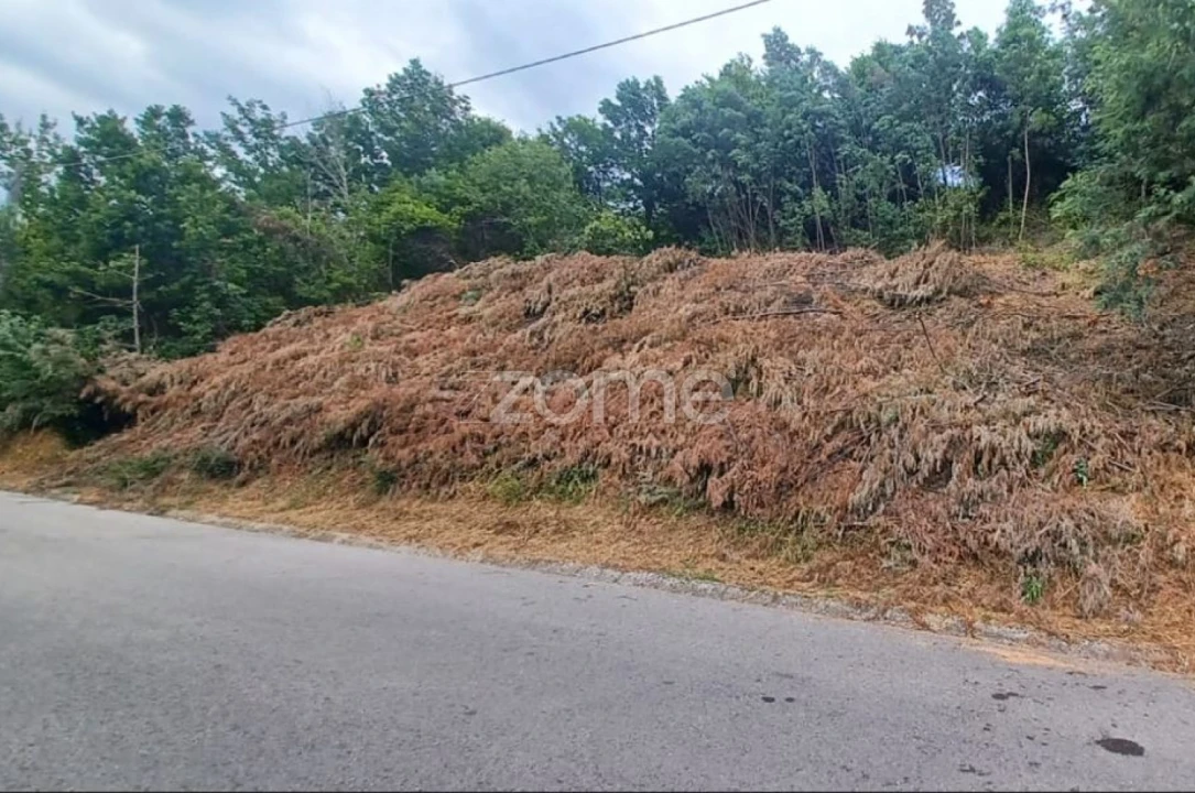 Terreno para Venda em Arganil Foto 13