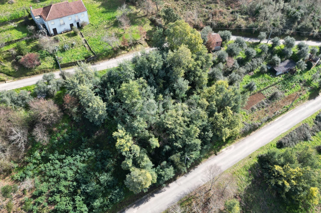 Terreno para Venda em Arganil Foto 14