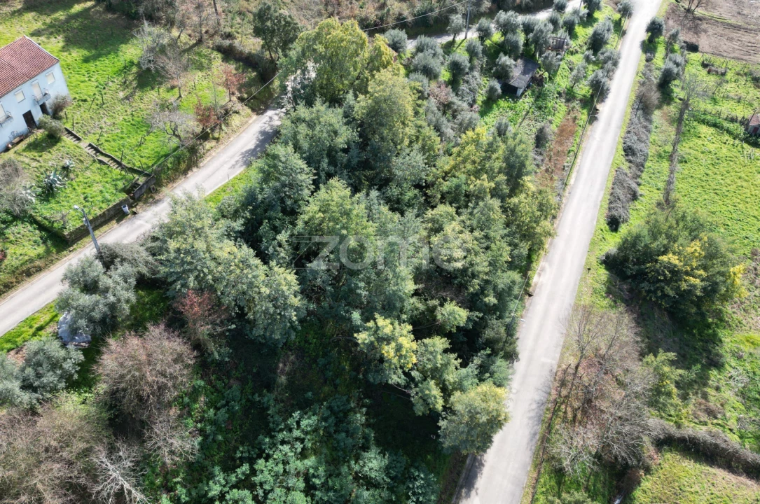 Terreno para Venda em Arganil Foto 16