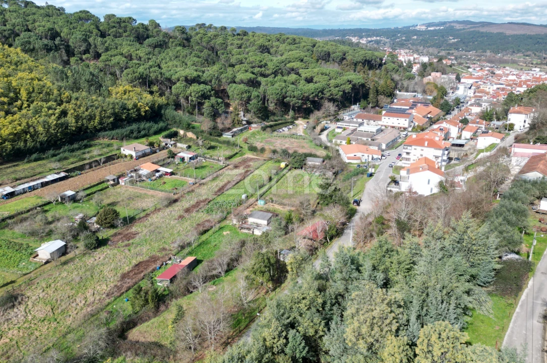Terreno para Venda em Arganil Foto 21