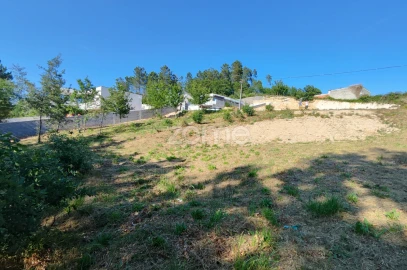 Terreno para Venda em Mundão