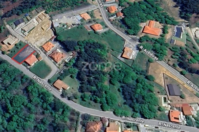 Terreno para Venda em Mundão