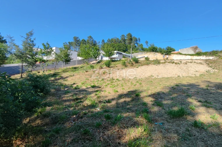 Terreno para Venda em Mundão Foto 7